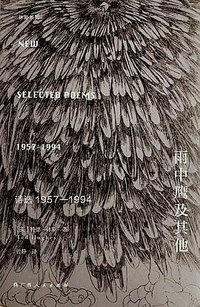 雨中鹰及其他 (广西人民出版社 2021)