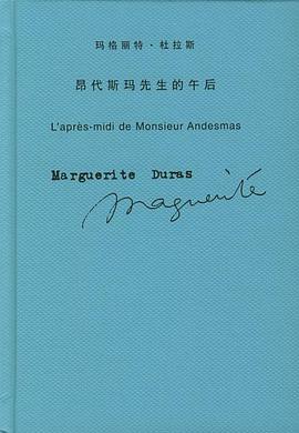 昂代斯玛先生的午后