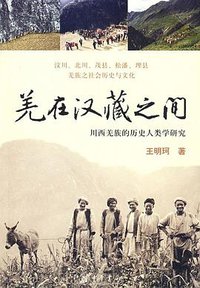 羌在汉藏之间 (中华书局 2008)