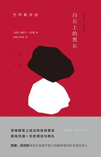 白石上的黑石 (外语教学与研究出版社 2017)