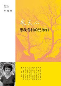 想我眷村的兄弟们 (上海译文出版社 2012)