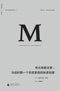 布达佩斯往事 (广西师范大学出版社 2016)