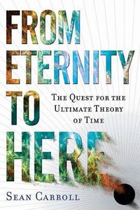 From Eternity to Here (Penguin Group (USA) 2010)