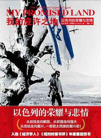我的应许之地 (中信出版社 2016)