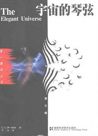 宇宙的琴弦 (湖南科学技术出版社 2004)