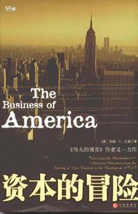 资本的冒险 (中信出版社 2005)