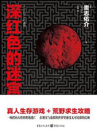 深红色的迷宫 (重庆出版社 2015)