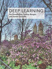 Deep Learning (The MIT Press 2016)