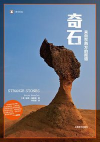 奇石 (上海译文出版社 2014)