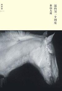 迈向另一个国度 (广西师范大学出版社 2012)