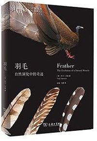 羽毛 (商务印书馆 2017)