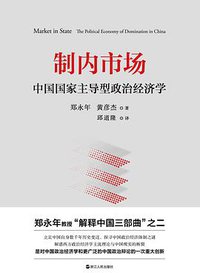 制内市场 (浙江人民出版社 2021)