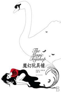魔幻玩具铺 (浙江文艺出版社 2009)