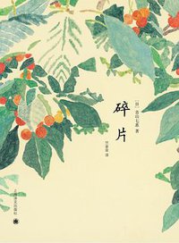 碎片 (上海译文出版社 2011)