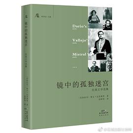 镜中的孤独迷宫