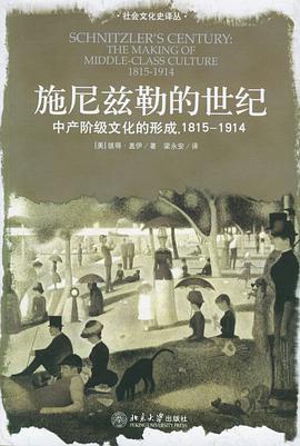 施尼兹勒的世纪