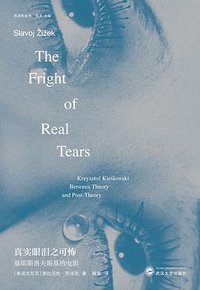 真实眼泪之可怖 (武汉大学出版社 2018)