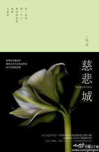 慈悲城 (北京燕山出版社 2013)