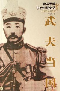 武夫当国 (海南出版社 2006)