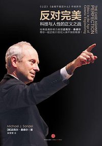 反对完美 (中信出版社 2013)