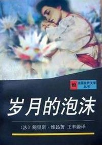 岁月的泡沫 (上海译文出版社 1998)