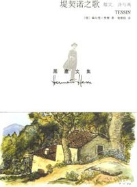 堤契诺之歌 (上海世纪出版股份有限公司译文出版社 2007)