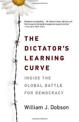 The Dictator's Learning Curve