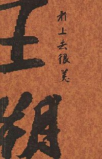 看上去很美 (云南人民出版社 2004)