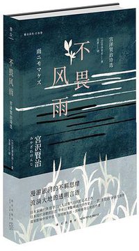 不畏风雨 (雅众文化/新星出版社 2018)