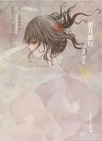 蜜月旅行 (上海译文出版社 2011)