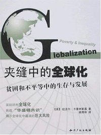 夹缝中的全球化 (知识产权出版社 2008)