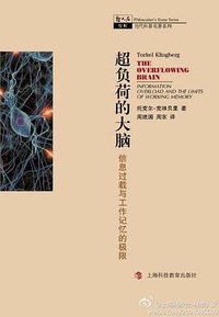 超负荷的大脑 (上海科技教育出版社 2011)