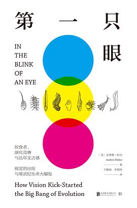 第一只眼