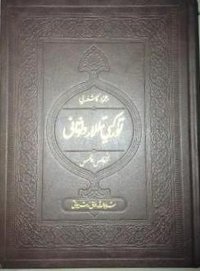 突厥语大词典 (新疆人民出版社 2008)