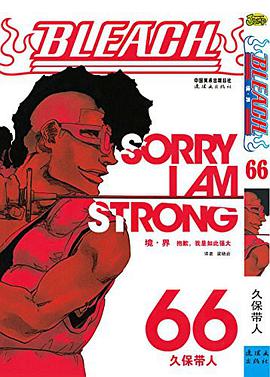 BLEACH 境·界66