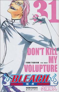 BLEACH 境·界31 (连环画出版社 2010)