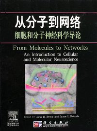 从分子到网络 (科学出版社 2006)