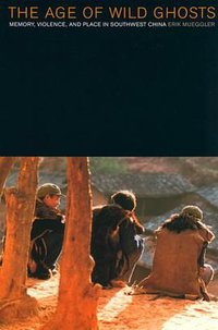 The Age of Wild Ghosts (University of California Press 2001)