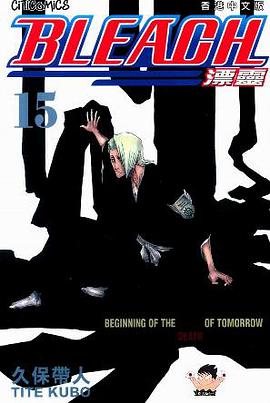 Bleach, Volume 15