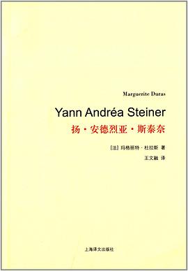 扬·安德烈亚·斯泰奈