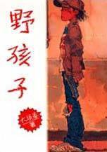 野孩子 (聯合文學出版社)