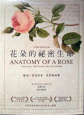 花朵的秘密生命