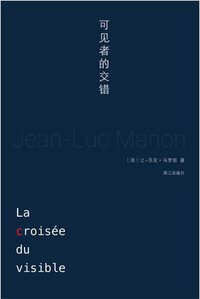 可见者的交错 (漓江出版社 2015)