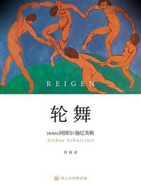 轮舞 (中信出版社 2014)