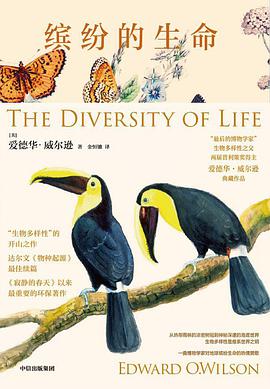 缤纷的生命