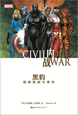 内战：黑豹