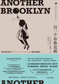 另一个布鲁克林 (中信出版集团 2017)