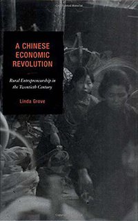 A Chinese Economic Revolution (Rowman & Littlefield Publishers 2006)
