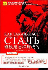 钢铁是怎样炼成的 (光明日报出版社 2008)