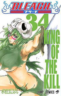 BLEACH―ブリーチ― 34 (集英社 2008)